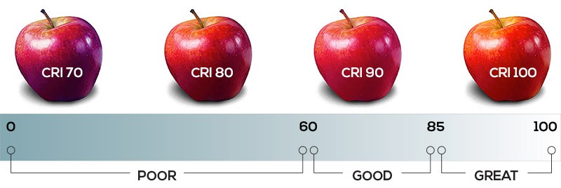 Color Temperature & CRI Guide